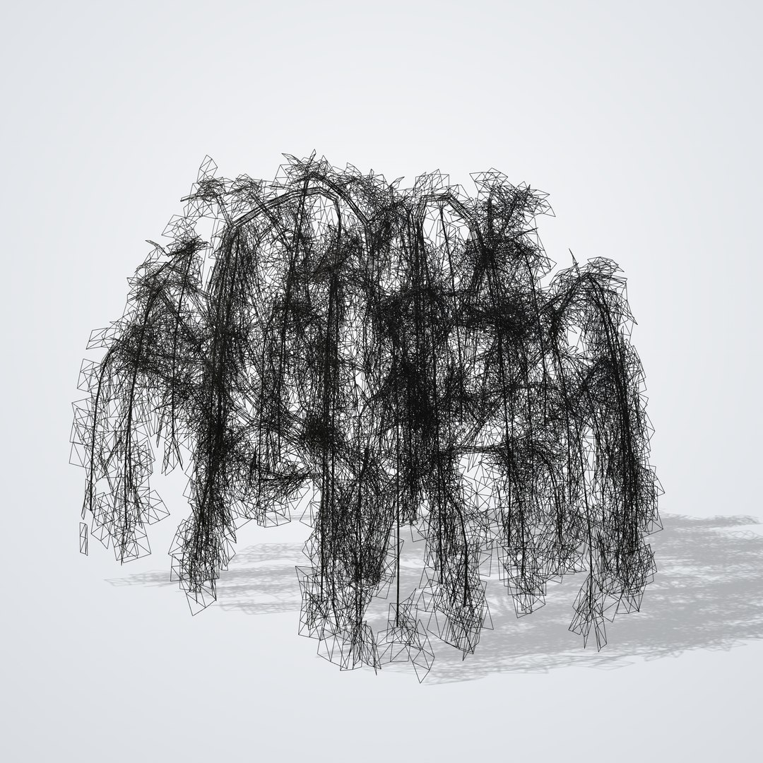 3D model Japanese Laceleaf Maple https://p.turbosquid.com/ts-thumb/V9/uJHYmp/GI/acerpalmatumdissectum_06_wireframe/png/1790115458/1920x1080/fit_q87/b8325c722f191f67243ec3c4215912cb3c00fb5b/acerpalmatumdissectum_06_wireframe.jpg