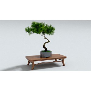 laos Bonzai