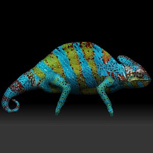 Colored Chameleon 3D model