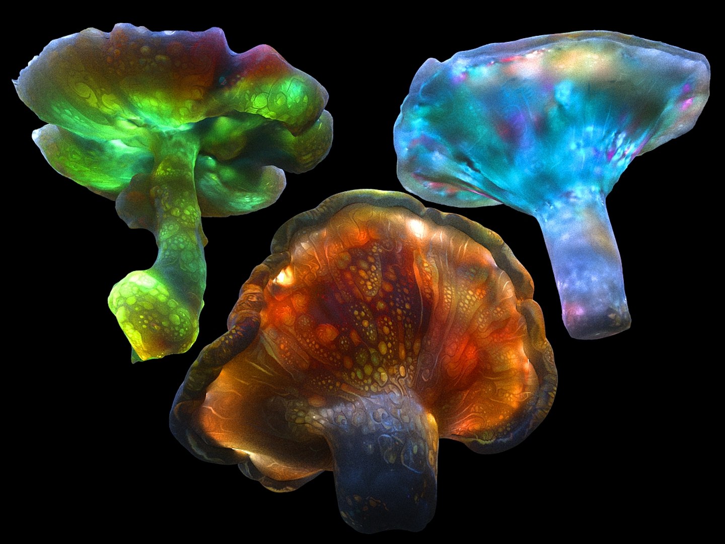 magic emitting fungi 3D https://p.turbosquid.com/ts-thumb/VA/G1dA0P/1HSIQwn0/0104/jpg/1576872405/1920x1080/fit_q87/ec0755786dd8a98d048c87c597ffd48d2dcf8a2d/0104.jpg