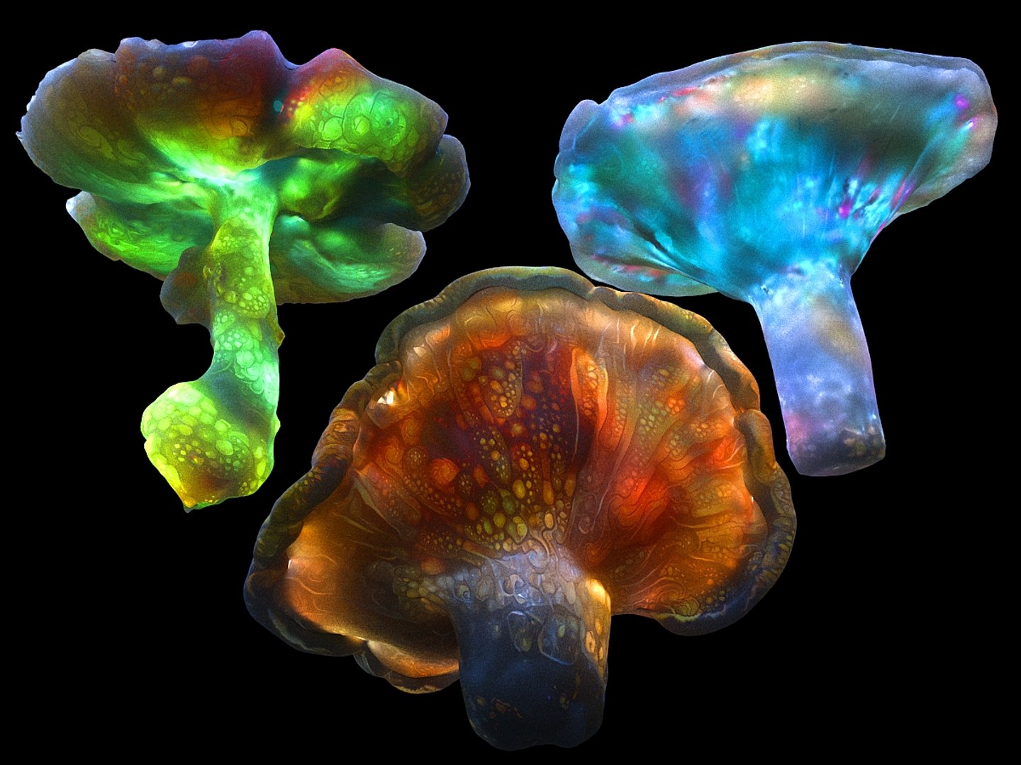 magic emitting fungi 3D https://p.turbosquid.com/ts-thumb/VA/G1dA0P/9ES9FfIV/0138/jpg/1576872405/1920x1080/fit_q87/a6e6d17663c43ad9f166714b4c960fc3eb51665e/0138.jpg