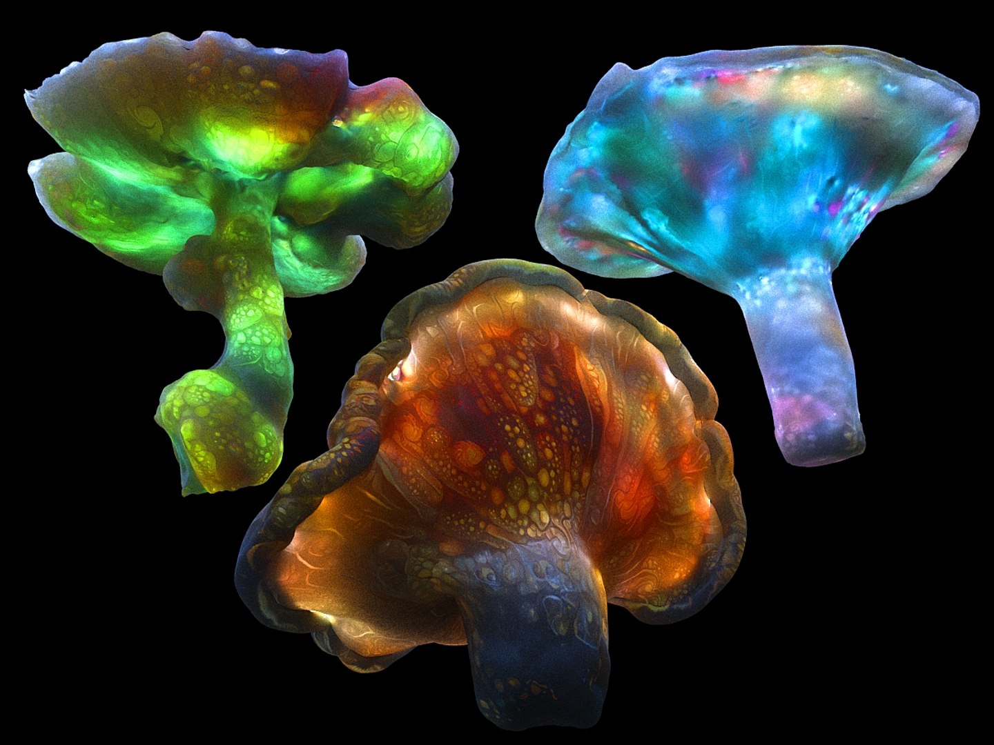 magic emitting fungi 3D https://p.turbosquid.com/ts-thumb/VA/G1dA0P/PLu4HhTa/0070/jpg/1576872405/1920x1080/fit_q87/b04572cf5decdd4394875b26aac53c0be9a970d0/0070.jpg
