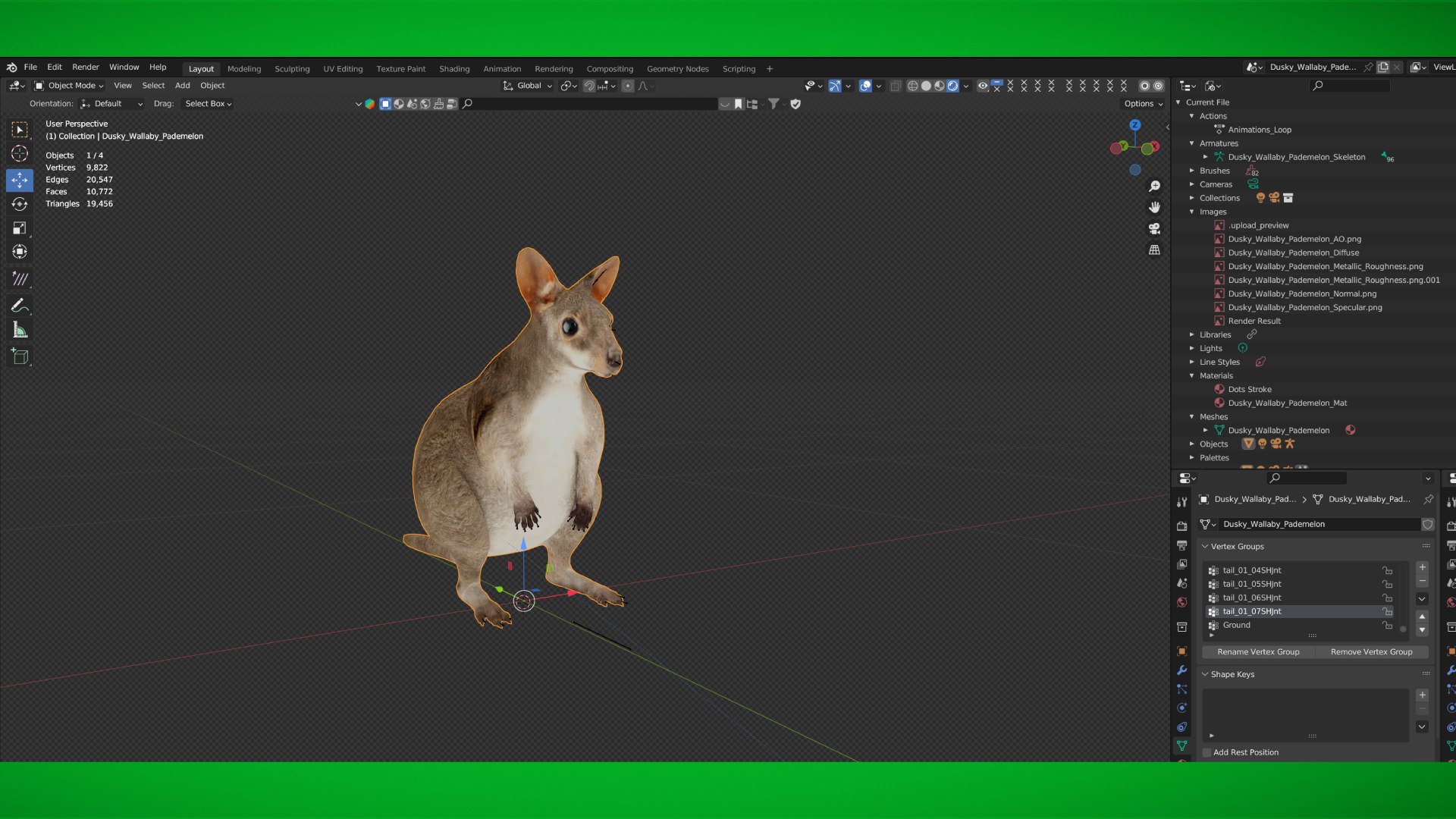 Dusky Wallaby Pademelon 3D Model - TurboSquid 2414848