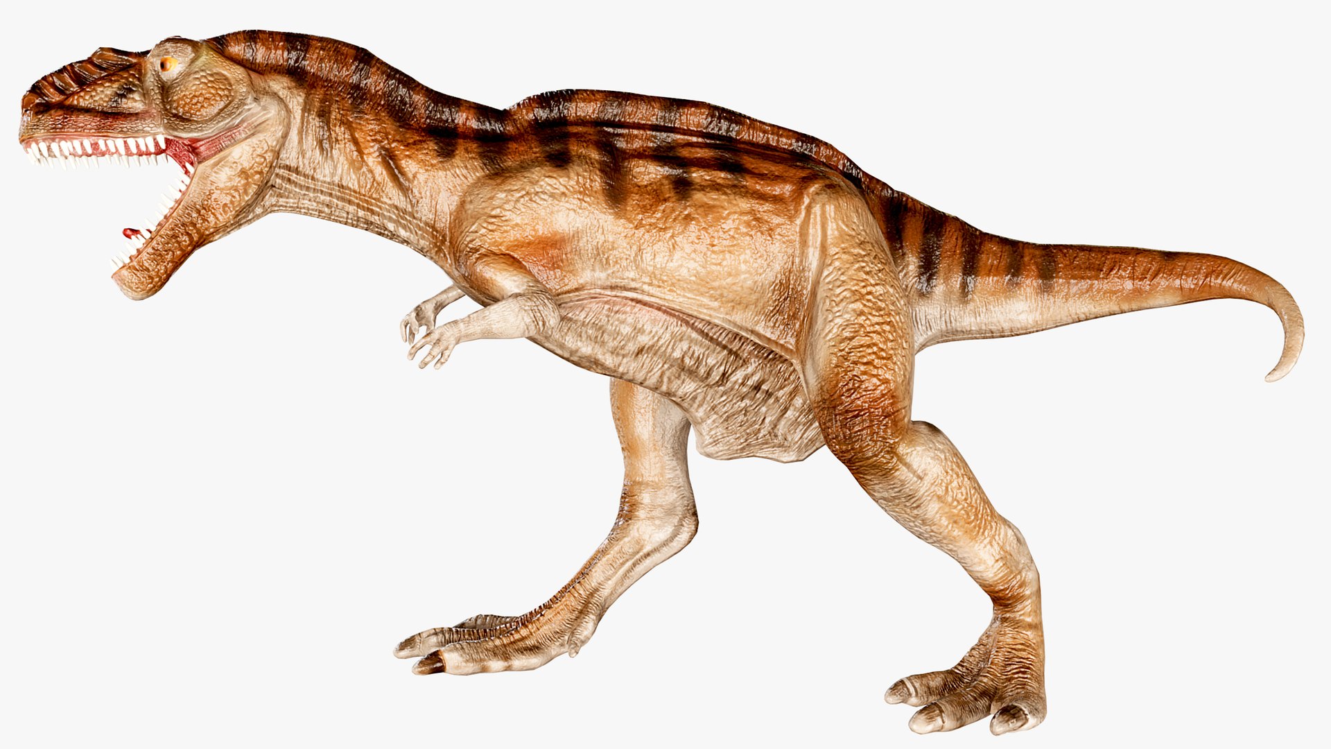 Tyrannosaurus Rex roaring 3D https://p.turbosquid.com/ts-thumb/VA/LiB2gy/8J/untitled3/jpg/1748852143/1920x1080/fit_q87/fde3d93a96c0d61a2c9a6a17356e812f0579e66f/untitled3.jpg