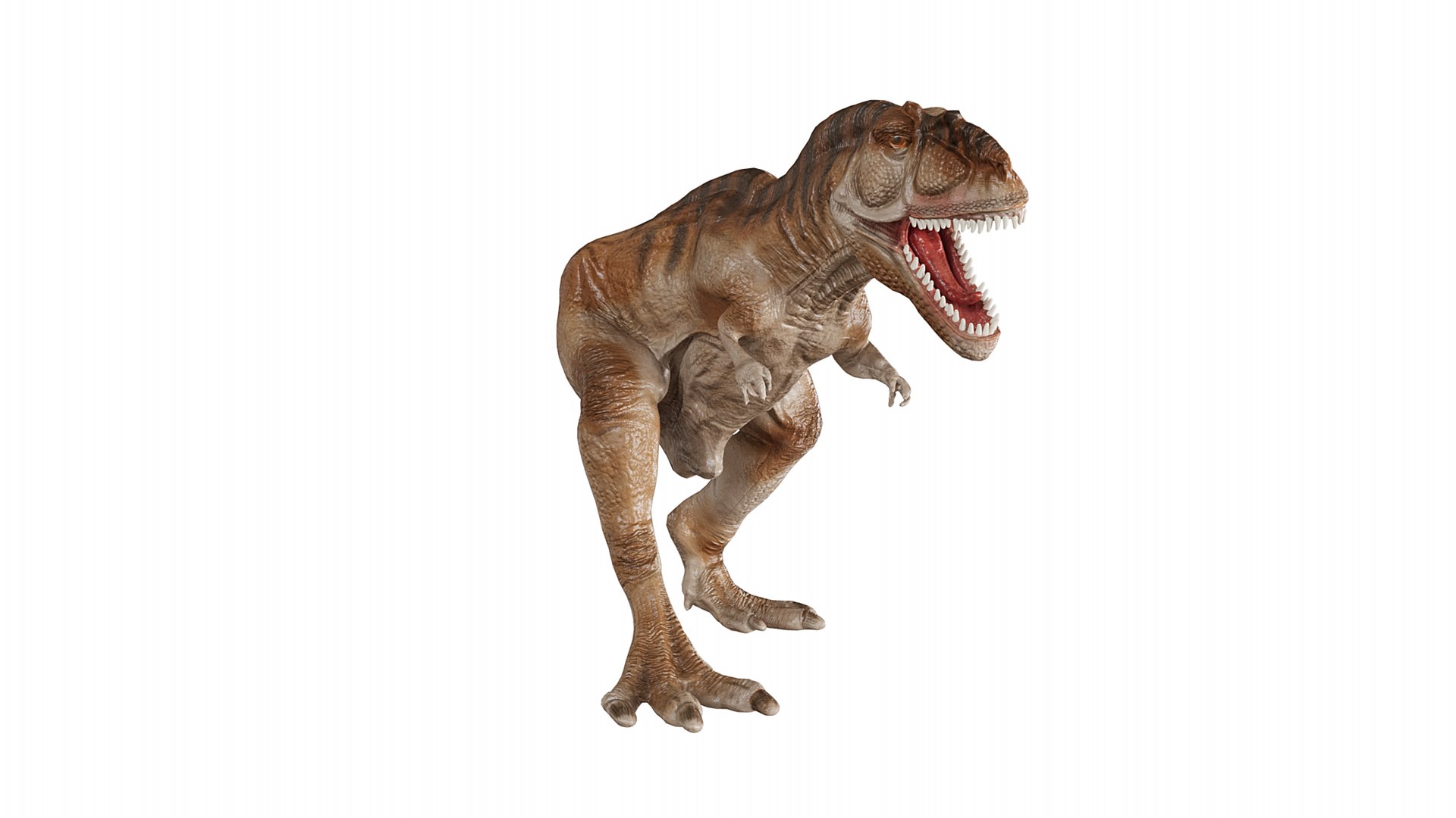 Tyrannosaurus Rex roaring 3D https://p.turbosquid.com/ts-thumb/VA/LiB2gy/C1/5/png/1748852030/1920x1080/fit_q87/1c24e981a0c776b826d3a282171f6cd796489cac/5.jpg