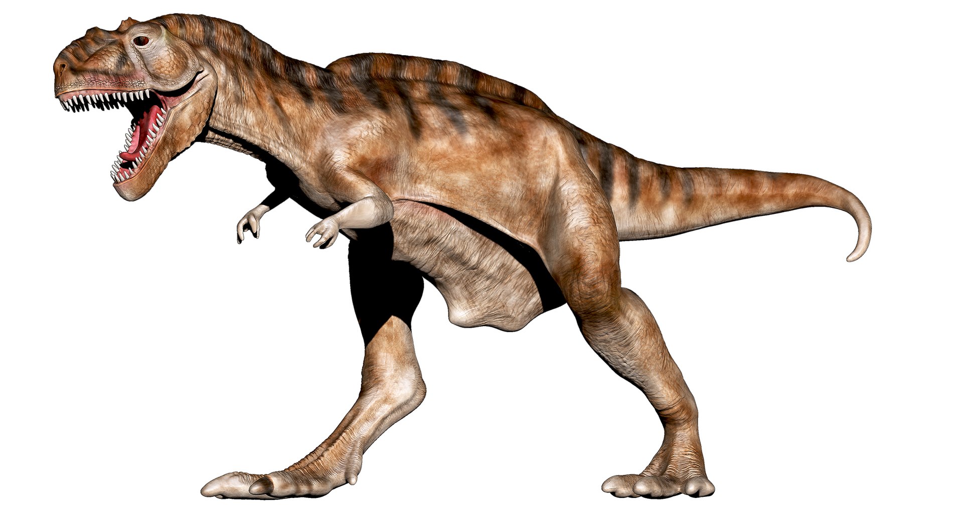 Tyrannosaurus Rex roaring 3D https://p.turbosquid.com/ts-thumb/VA/LiB2gy/KG/untitled1/jpg/1748852075/1920x1080/fit_q87/50263c12e83bec746e0fe3f74f3347cc699393c8/untitled1.jpg