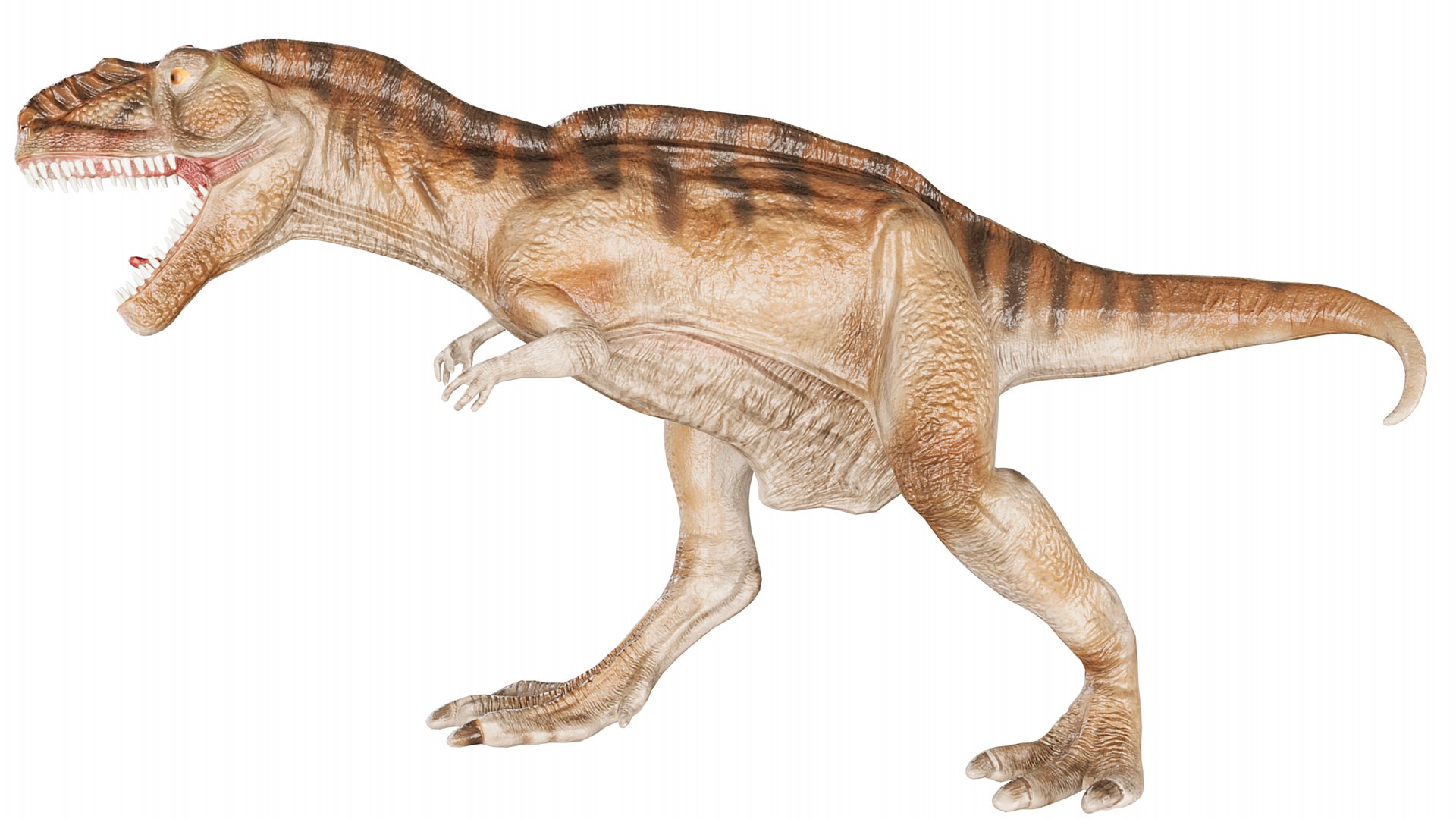 Tyrannosaurus Rex roaring 3D https://p.turbosquid.com/ts-thumb/VA/LiB2gy/Uy/2/png/1748852010/1920x1080/fit_q87/37fc1c15f55de5b45e73c2aba922ed515f9c5c92/2.jpg