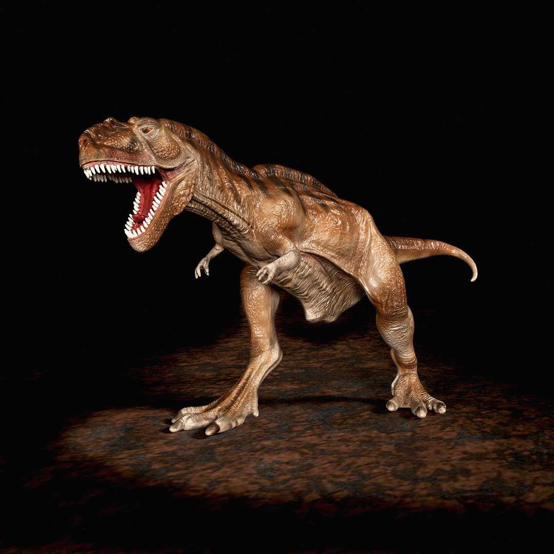 Tyrannosaurus Rex roaring 3D https://p.turbosquid.com/ts-thumb/VA/LiB2gy/Zp/ds/jpg/1748852235/1920x1080/fit_q87/179caee5b77365455ec3e3007686236ae8791332/ds.jpg