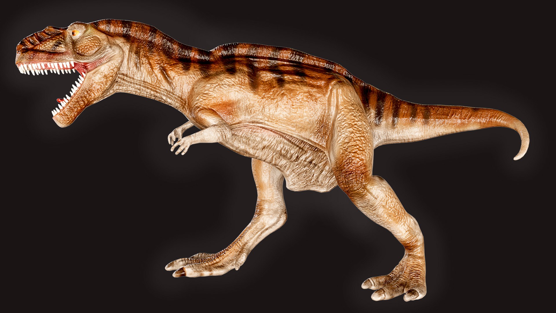 Tyrannosaurus Rex roaring 3D https://p.turbosquid.com/ts-thumb/VA/LiB2gy/hr/untitled4/jpg/1748852151/1920x1080/fit_q87/5dd6dff51f4640480e55ebe4add44ebb26a33d8f/untitled4.jpg