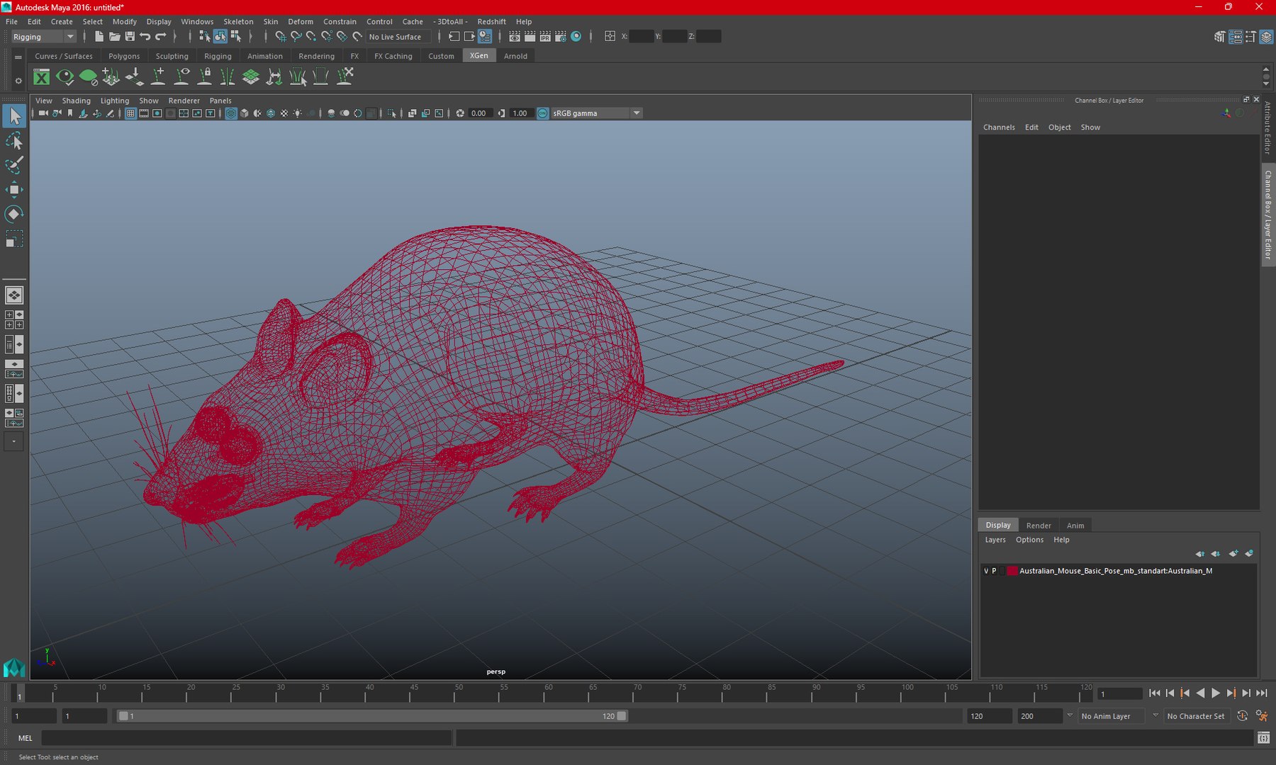 Australian Mouse Basic Pose Model - TurboSquid 2197110