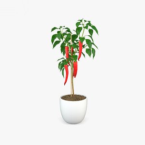 3D pepper plant model