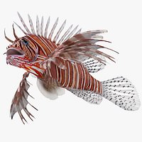 Lionfish Marine Creature Rigged for Cinema 4D
