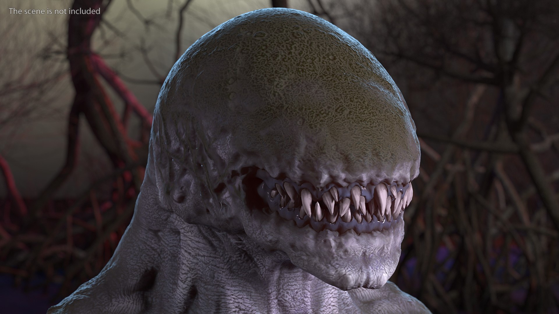 3D monster beast head creature https://p.turbosquid.com/ts-thumb/VA/dgLF4J/ZP/monsterbeasthead3dmodel002/jpg/1614821697/1920x1080/fit_q87/2d2f1e0cdd54c8515ba0c3764e035c0117c9016e/monsterbeasthead3dmodel002.jpg