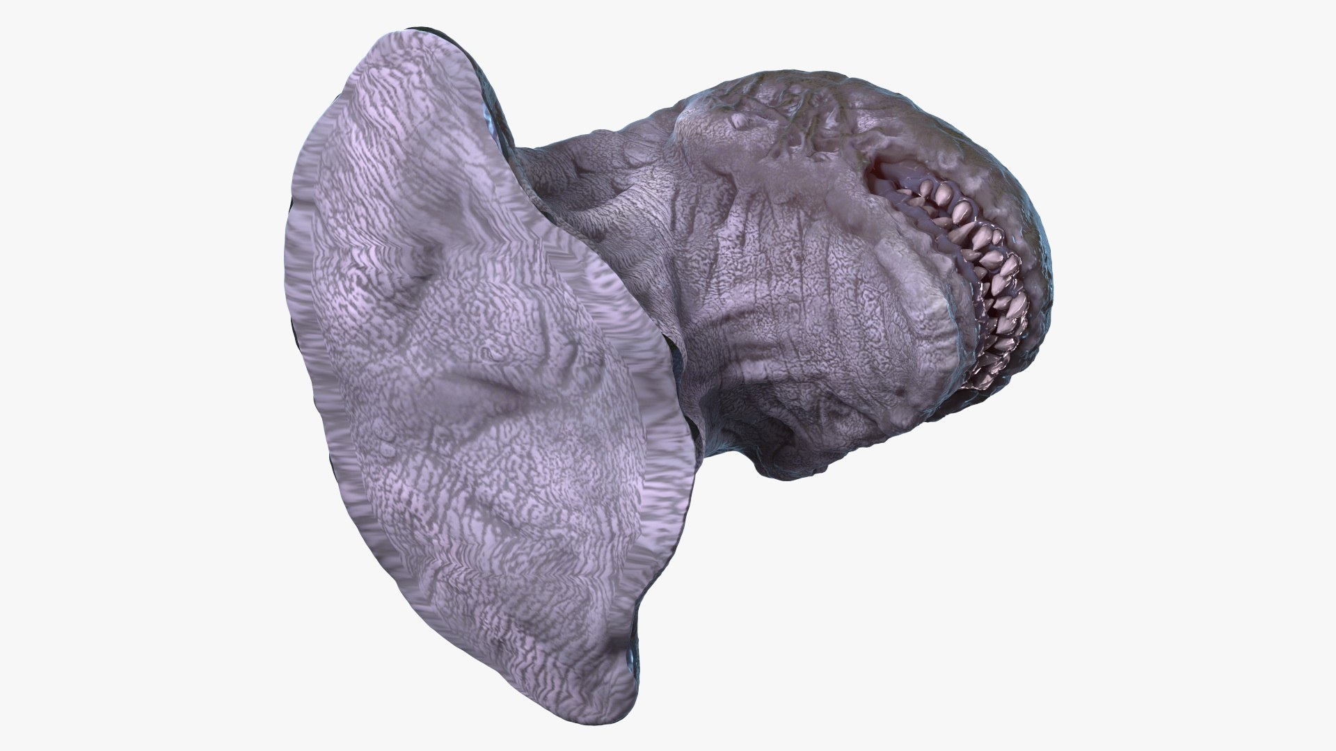 3D monster beast head creature https://p.turbosquid.com/ts-thumb/VA/dgLF4J/fL/monsterbeasthead3dmodel014/jpg/1614821818/1920x1080/fit_q87/c09bd8d4c9d2b1bc6cea70d46d6db1759ab54b4b/monsterbeasthead3dmodel014.jpg