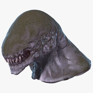 Monster Beast Head