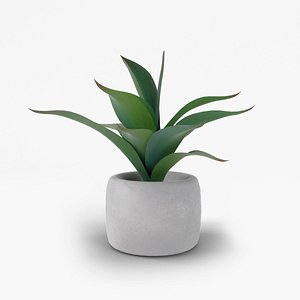 3D decorative plant cement pot model