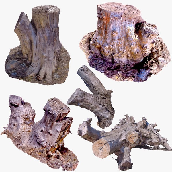 3D Tree Stump Collection