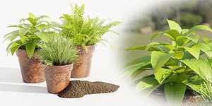 Lowpoly Pot Plants collection vol 228-Blender-3dmodel 3D