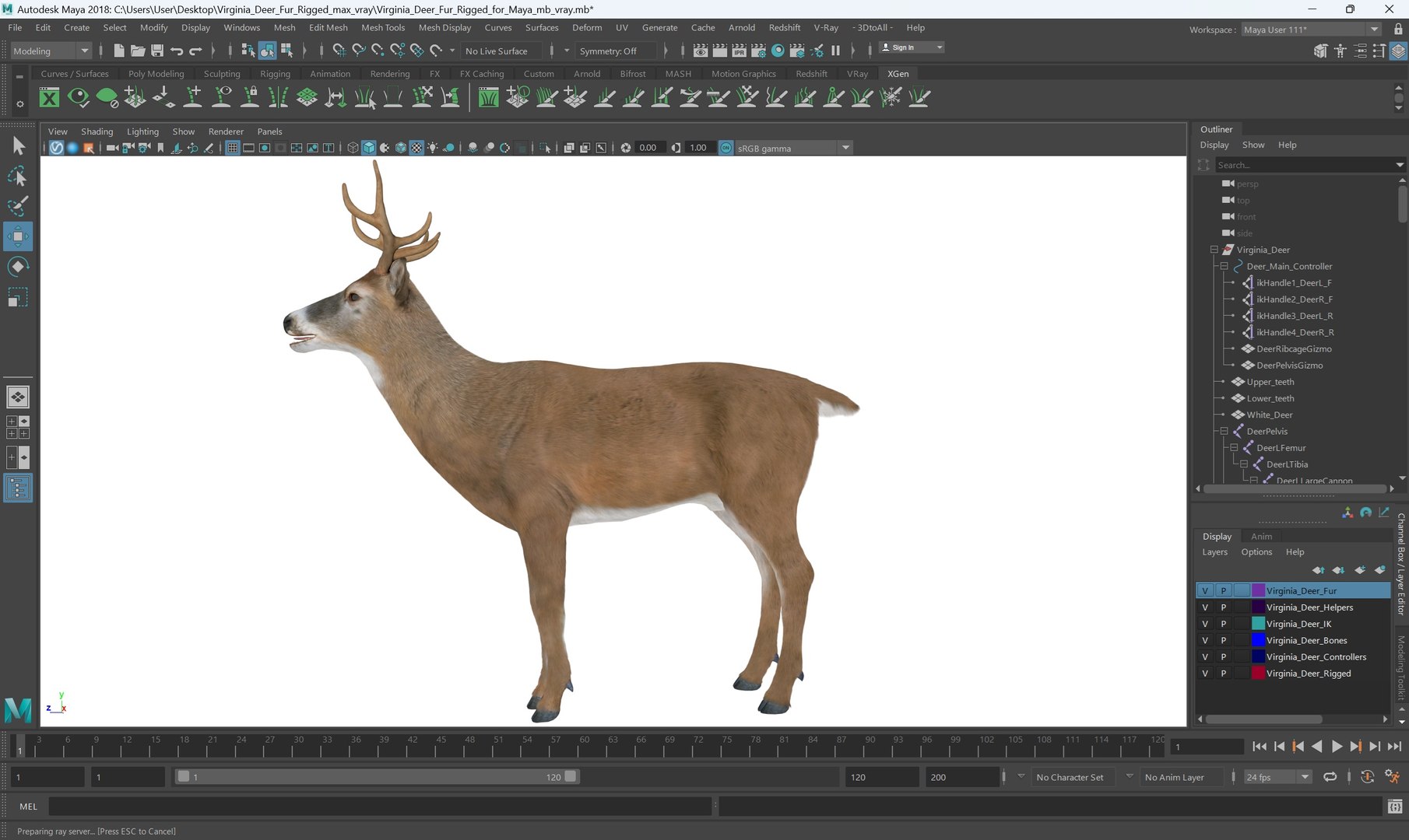 Virginia Deer Fur Rigged For Maya 3D Model - TurboSquid 2413412