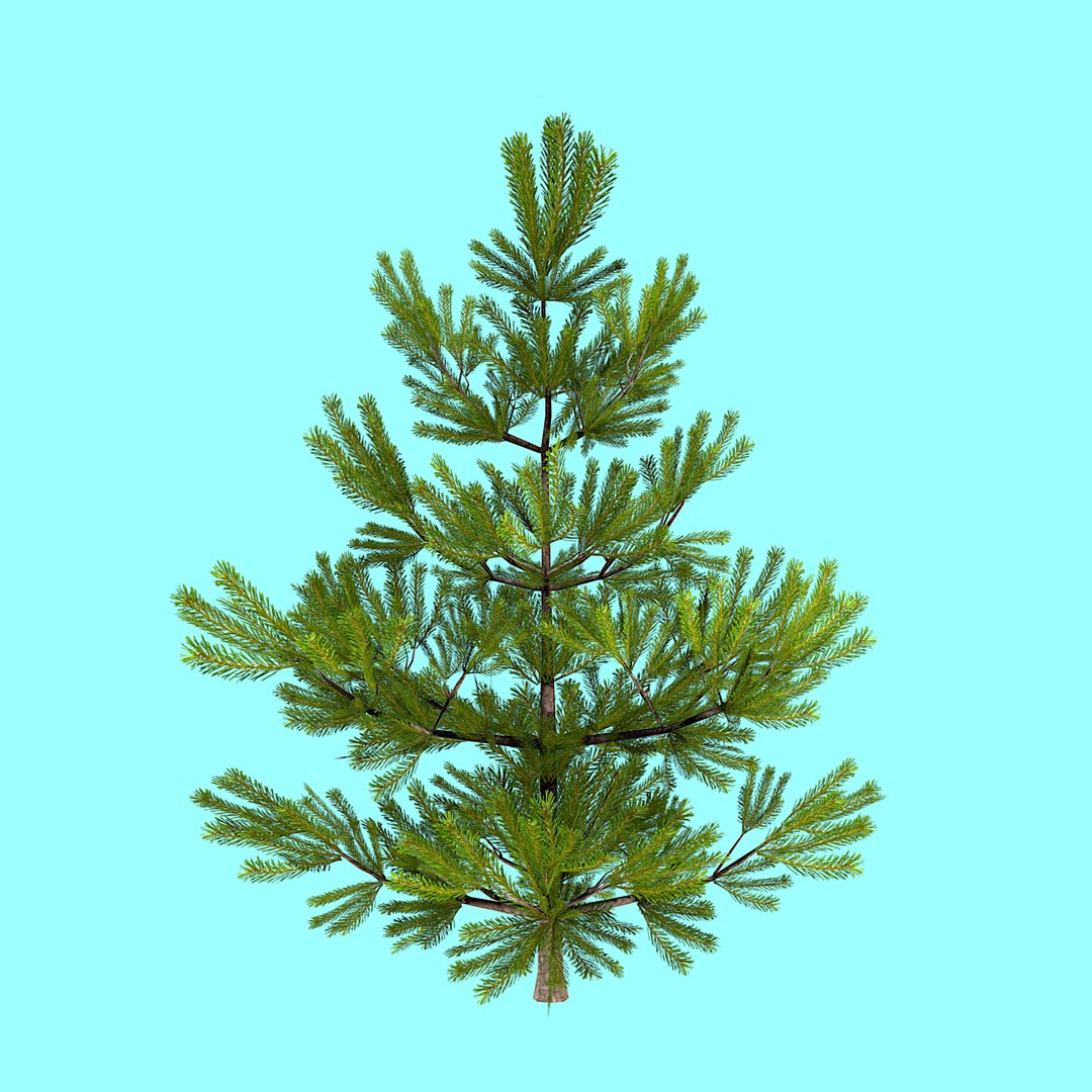 Pine Tree Low Poly 3d Model Turbosquid 1879020