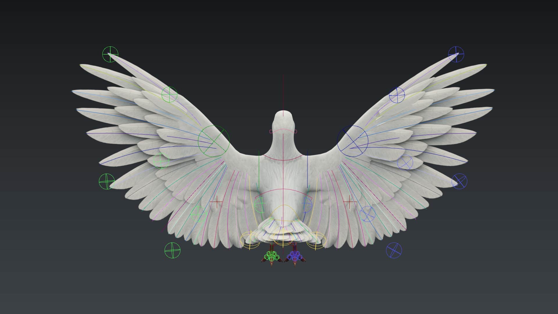 Rigged Dove 3D Model - TurboSquid 1458665