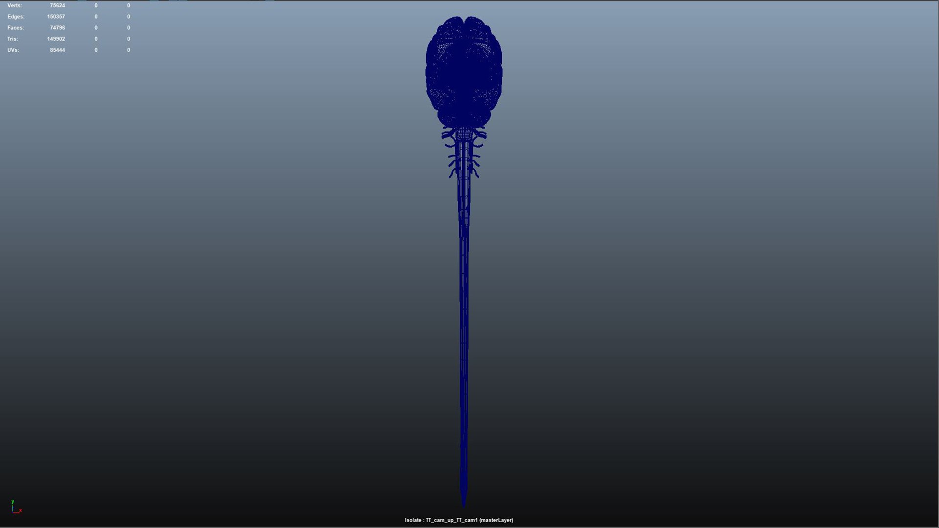 3D Human brain with cranial nerves https://p.turbosquid.com/ts-thumb/VB/CQ9yR1/mV/m0193_brain_cranial_nerves03/jpg/1731577043/1920x1080/fit_q87/2ca925b989381fd6295a19c8b21c24bfaf6d09a0/m0193_brain_cranial_nerves03.jpg
