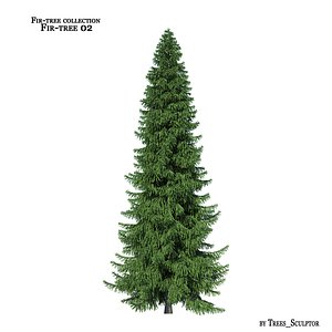Fir-tree_02
