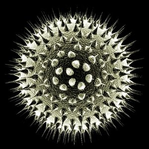 Dead Cell 1