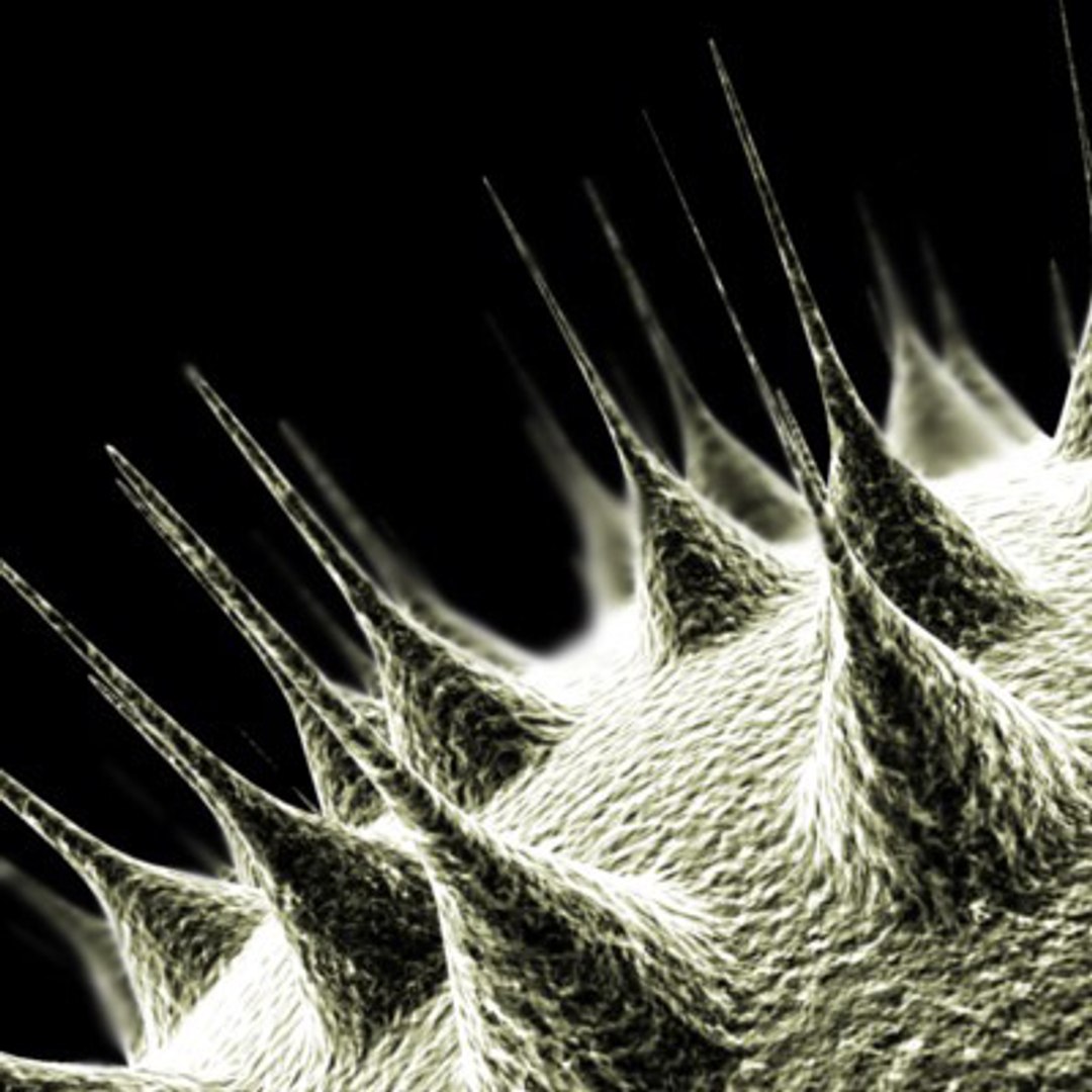 electron cell 1 3d model https://p.turbosquid.com/ts-thumb/VB/GdHccX/v8pbhxXt/deadcell4/jpg/1102809825/1920x1080/fit_q87/aee157a984e38febffb9fd425569e1806562aacb/deadcell4.jpg