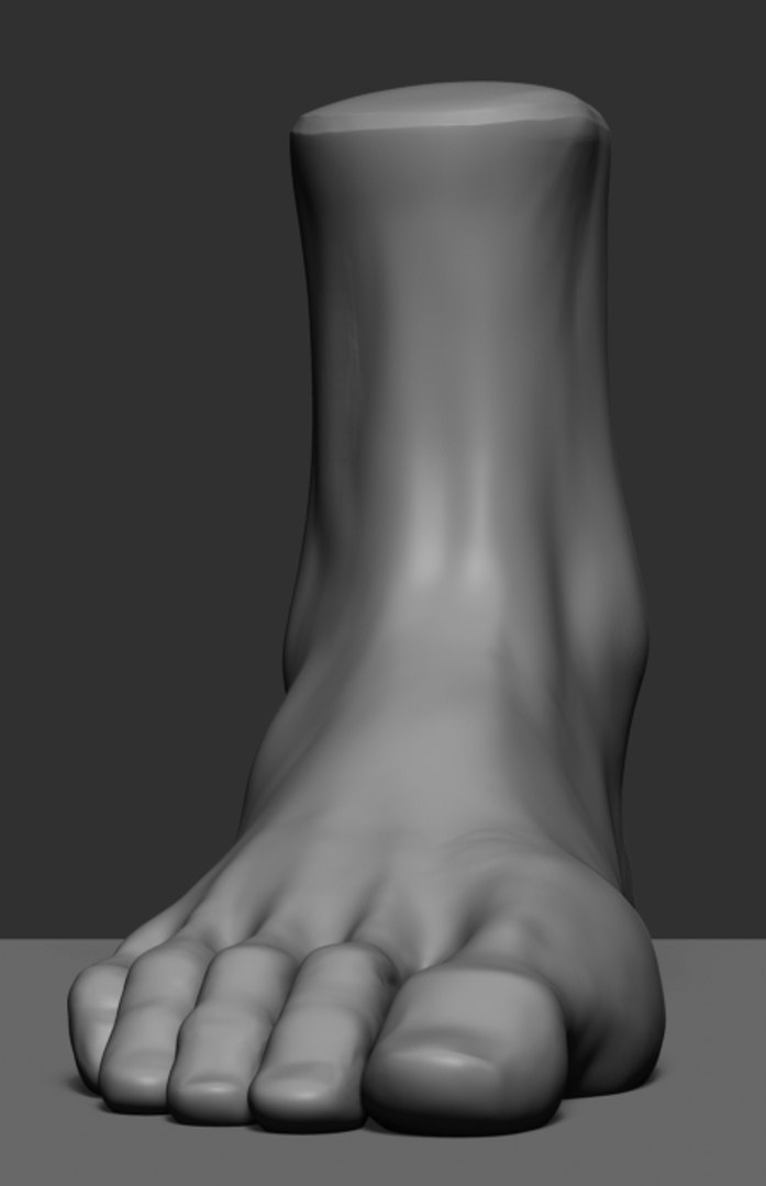 Foot Ztl Zbrush 3D Model - TurboSquid 1333170
