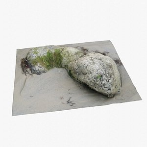 Rock 3d scan 10
