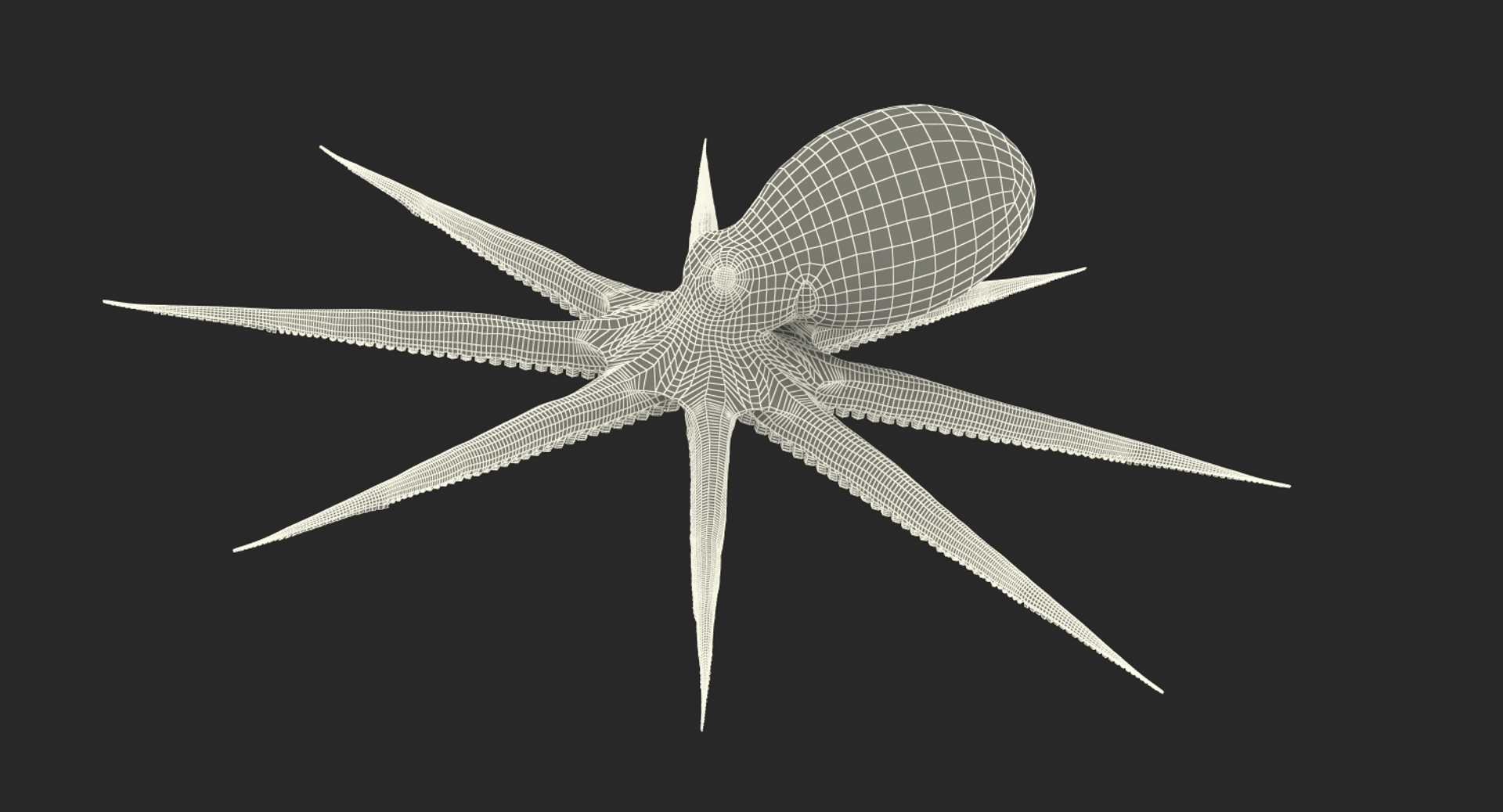 3d Common Octopus Rigged