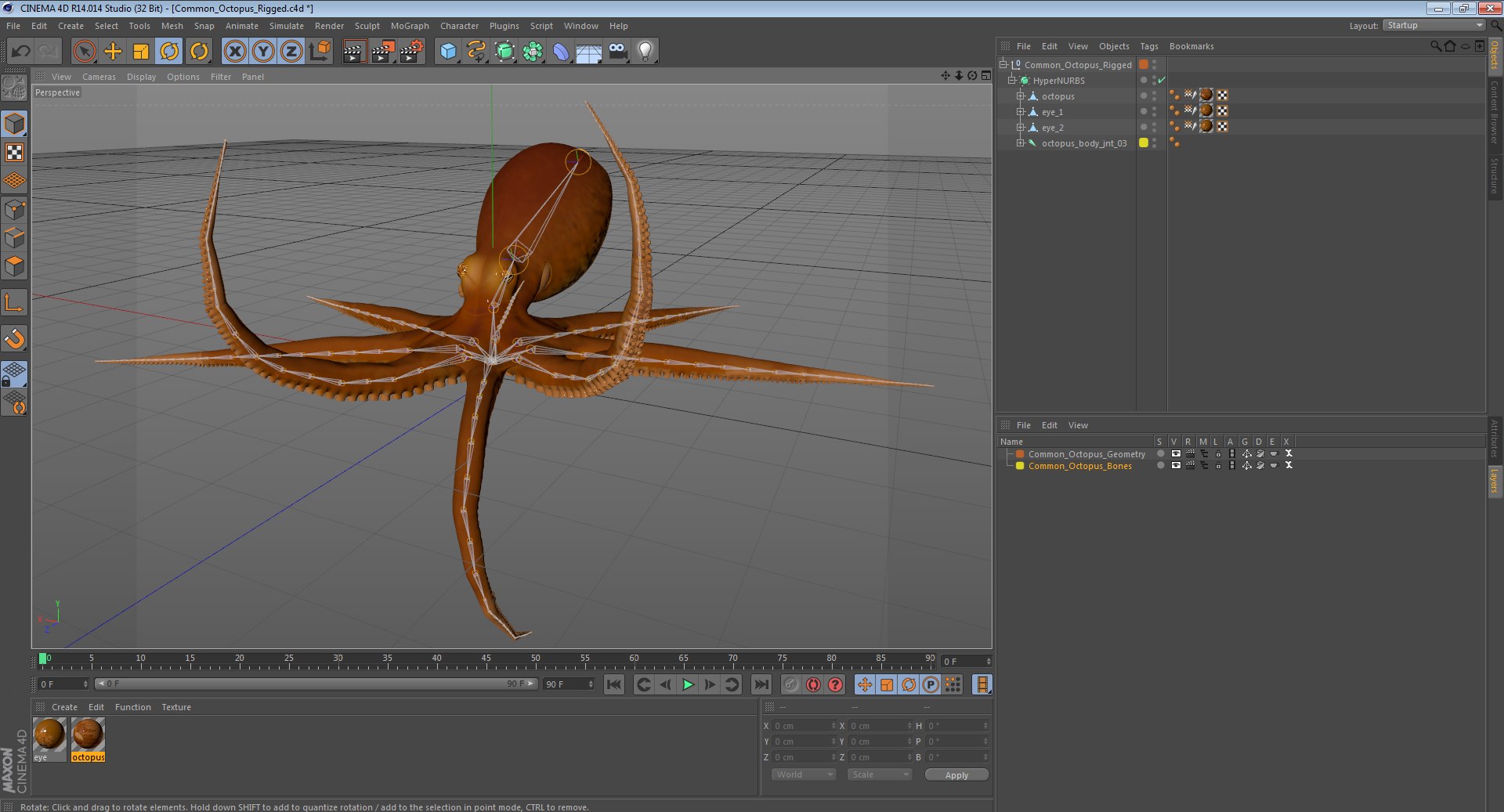 3d common octopus rigged