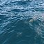 Ocean High Poly 3