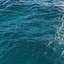 Ocean High Poly 3