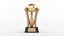 Trophy Cups
