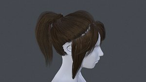 hear ponytail 3D model