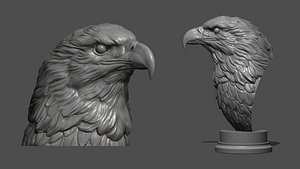 Eagle head 3D model