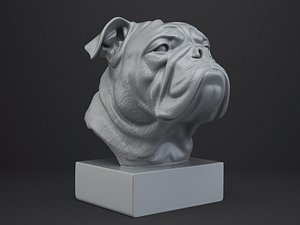 Bulldog Bust 3D