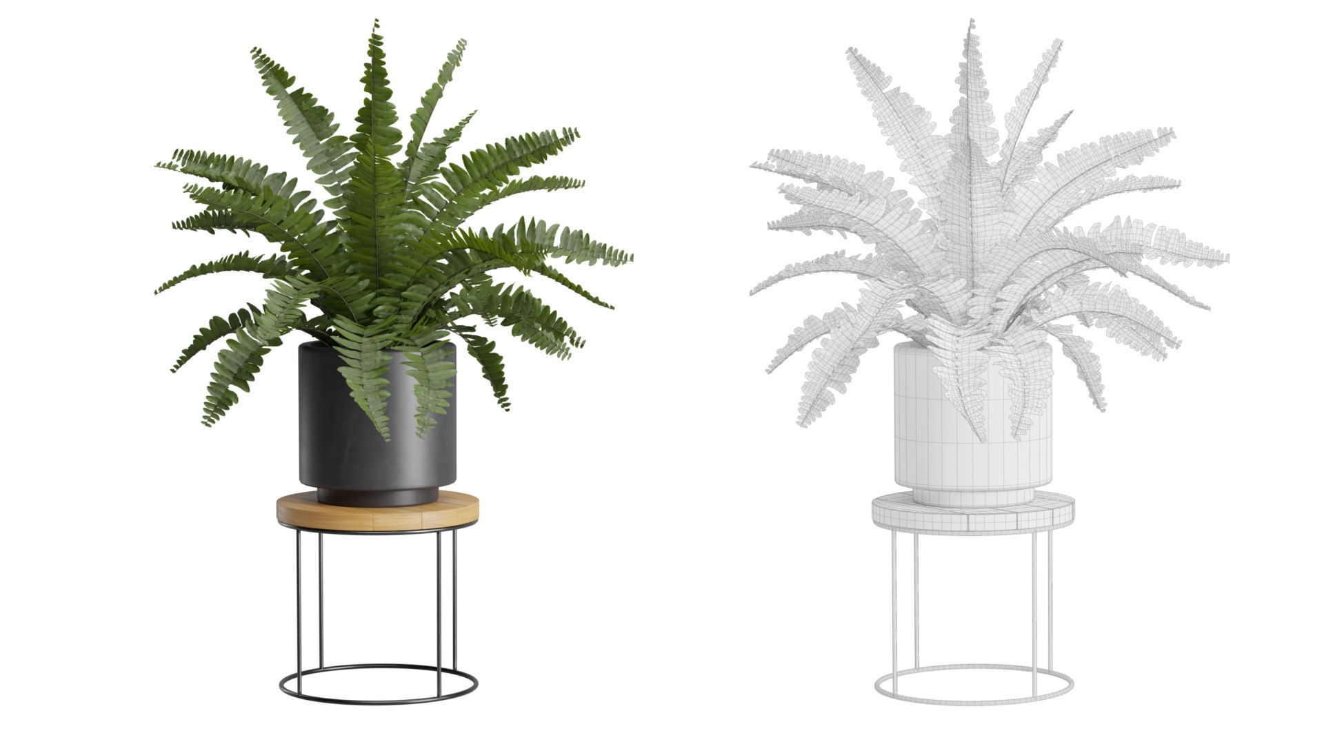 3D Indoor Plants Pack 37 https://p.turbosquid.com/ts-thumb/VB/x653gq/nS/preview10_ts_0000/jpeg/1671914953/1920x1080/fit_q87/6f1c46cab7fa40e02354f663328b4196d24c7960/preview10_ts_0000.jpg