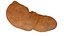 Hepatitis  liver disease digestive system organs