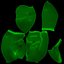 Hepatitis  liver disease digestive system organs