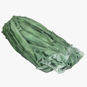 3D PAckaging 81 Green Beans