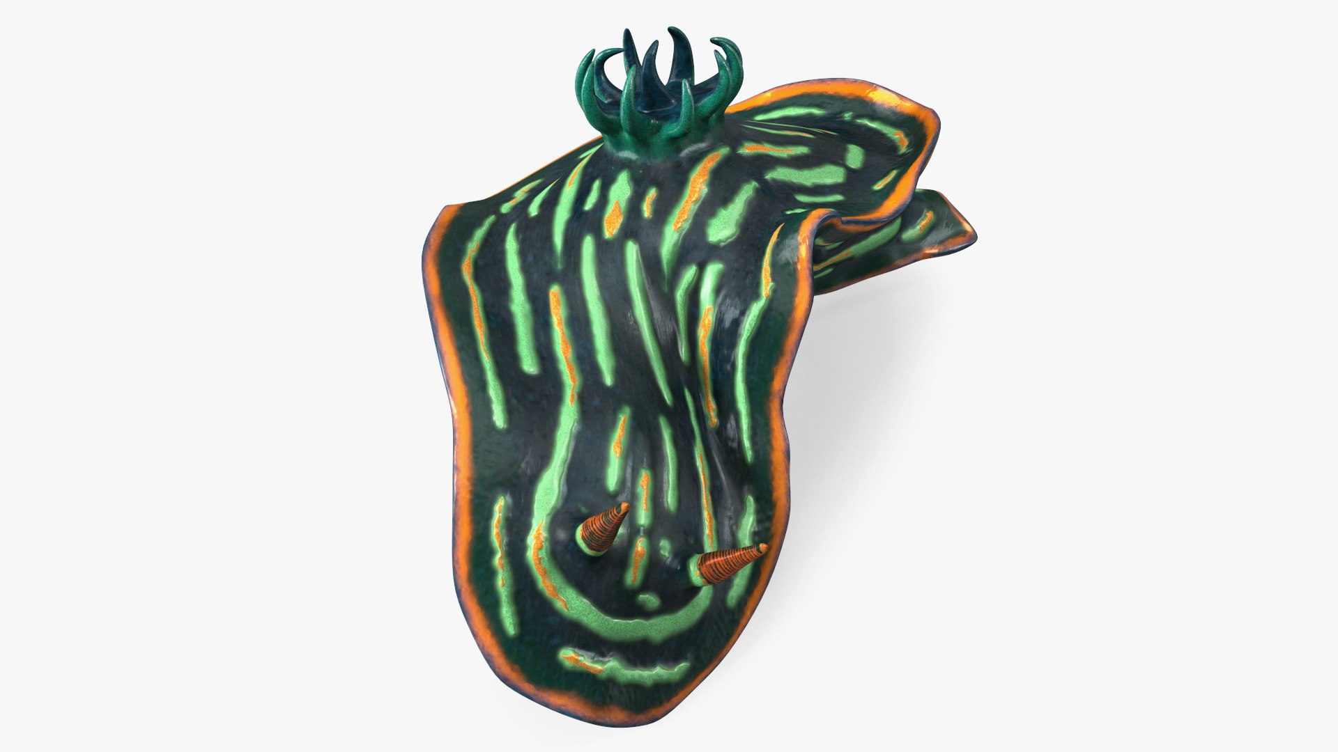 Kubaryana Sea Slug 3D model preview