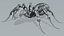 Robot Ant