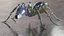 Robot Ant