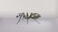 Robot Ant