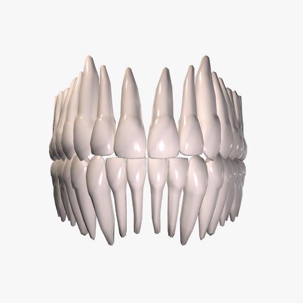 3D модель Человеческие зубы - TurboSquid 1086834