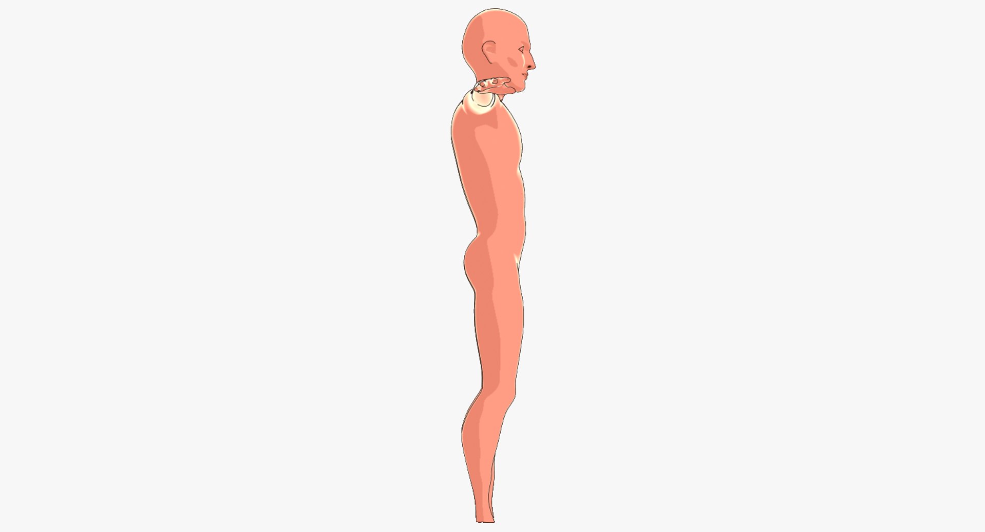 3d fantasy boy cloth - model https://p.turbosquid.com/ts-thumb/VC/i4fJLa/eKggWJfO/groom.0011/png/1466874780/1920x1080/fit_q87/f4ca7f58d6e7a159c48350cce855b625dcb417fc/groom.0011.jpg