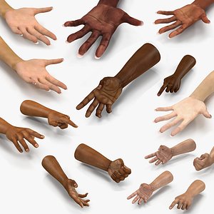 3D hands rigged female